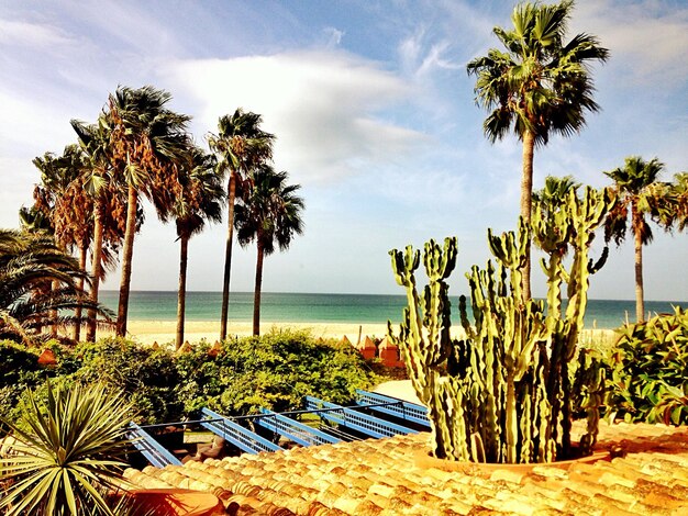 사우스 파드레 아일랜드에서 할 수 있는 놀라운 활동들을 탐험해보세요