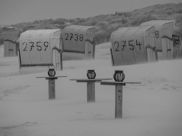 The Impact of WWII Sugar Rationing on Halloween Candy and Celebrations