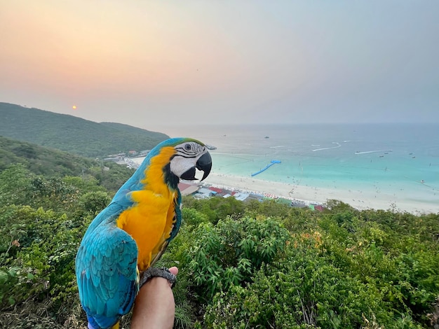 Peninsula Papagayo Recognized as a Leader in Sustainable Hotel Development and Community Empowerment for 2025