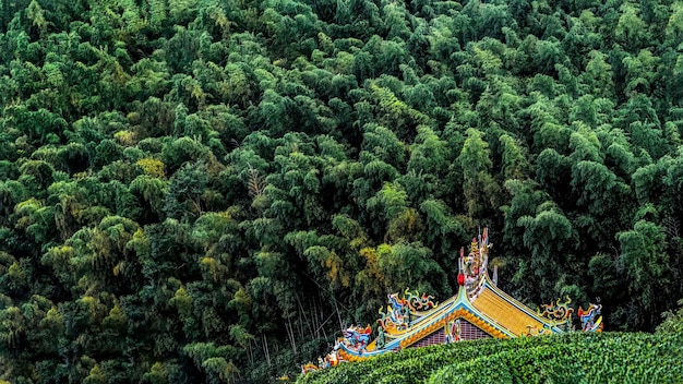 Sustainable Tourism in Northeast India: Boosting Local Communities