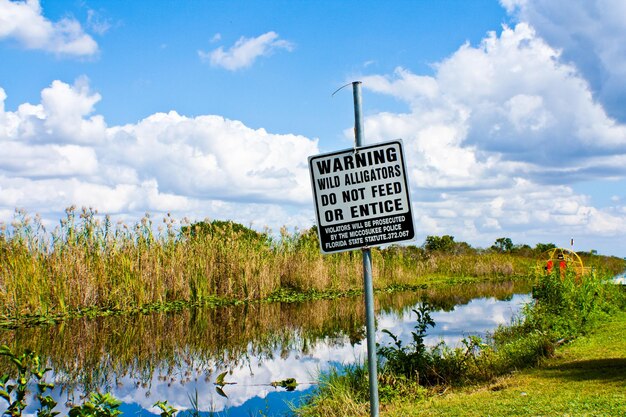 Discover Must-See Things to Do in Tallahassee