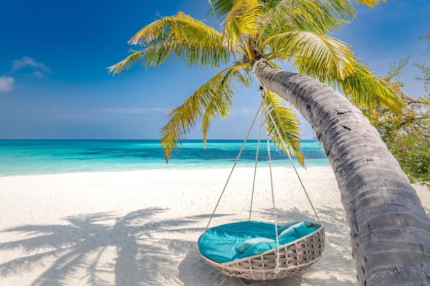 Discover the Best Things to Do in Bahamas