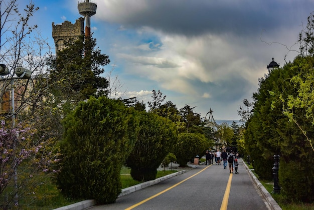 Saker att göra i Berkeley