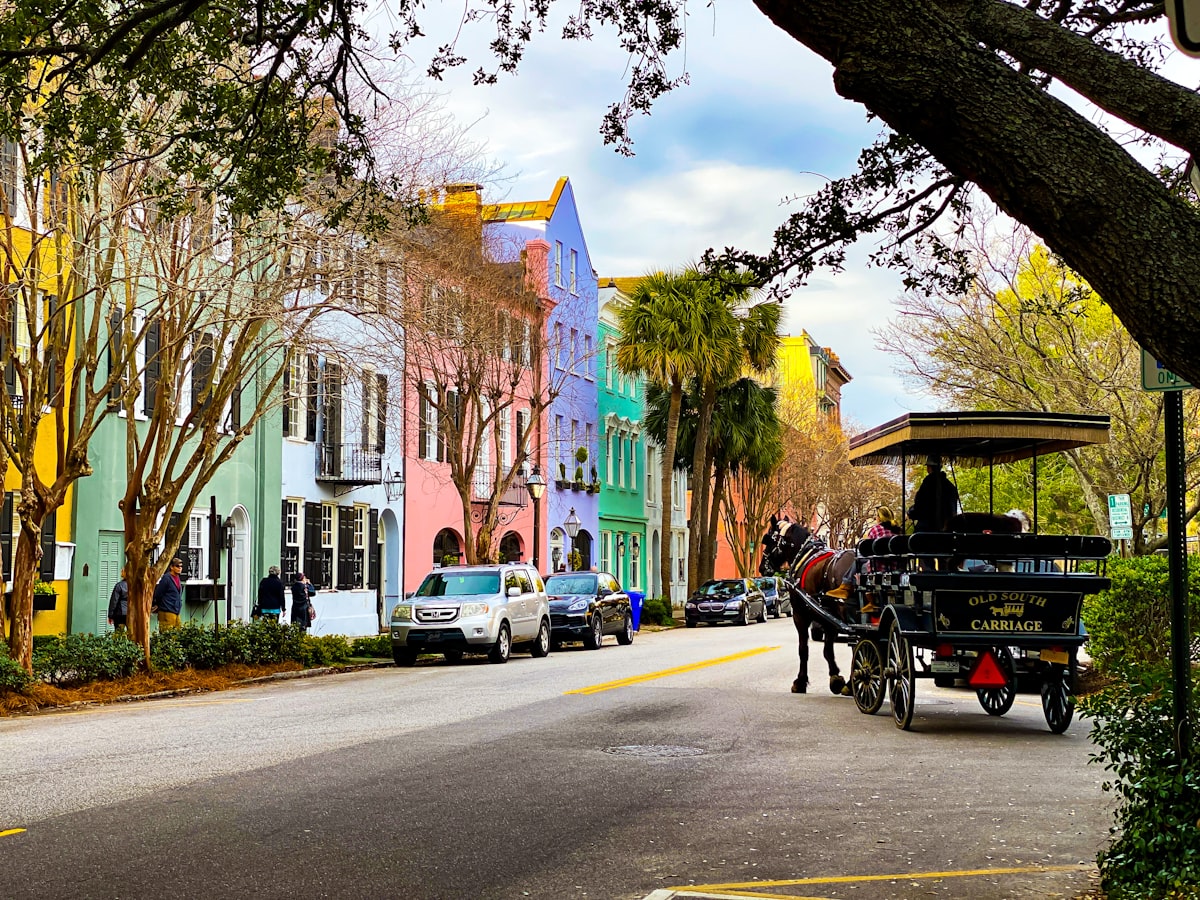 Uncover Fabulous Things to Do in Charleston SC with Kids
