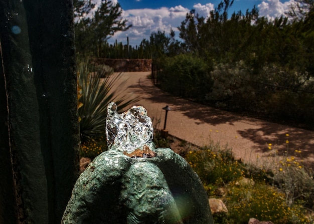 Amazing Things to Do in Escondido