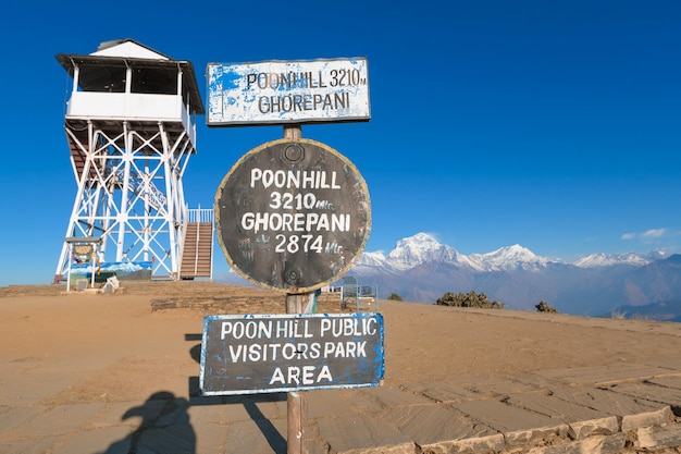 Top Things to Do in Fort Worth: Your Ultimate Guide