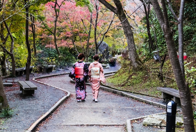 Uncover the Best Things to Do in Kyoto