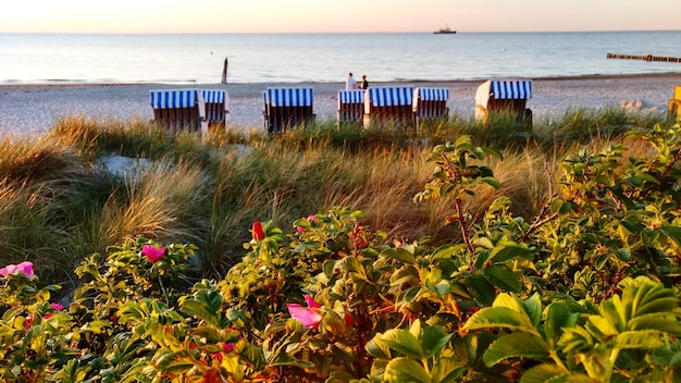 Ultimate Guide to Things to Do in Oshkosh