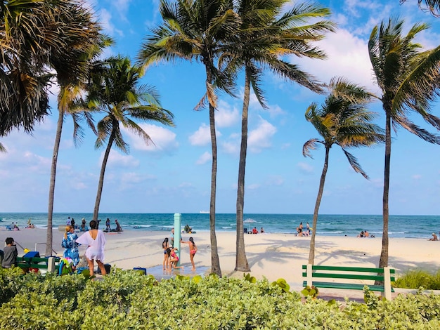Explore the Best Things to Do in Pompano Beach