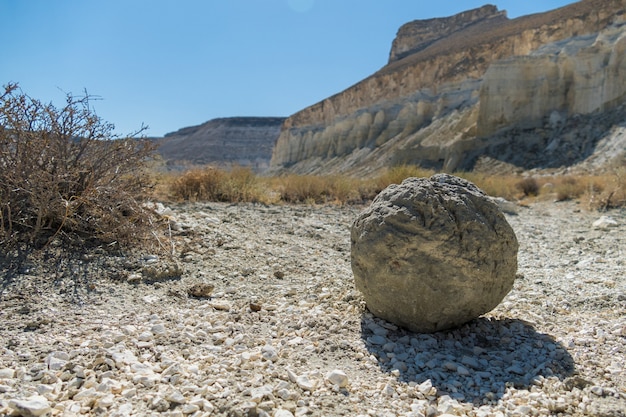 라운드 록에서 할 수 있는 최고의 것들을 발견하세요