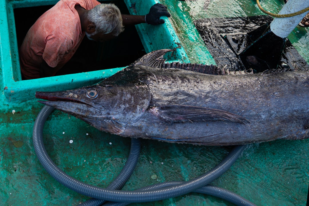 Uncover the Best Things to Do in Spearfish, SD