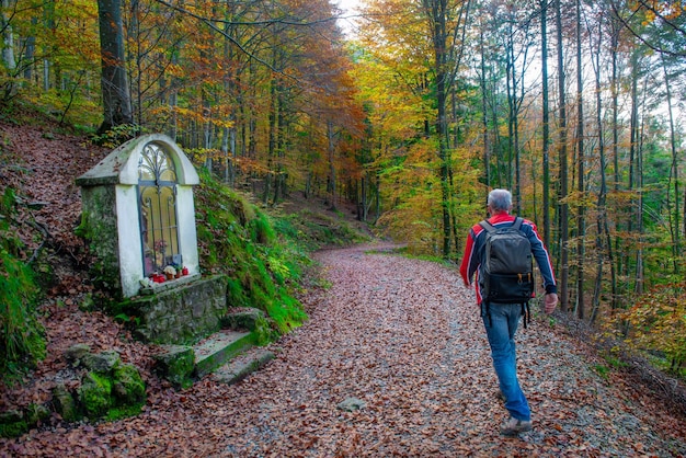 Fedezze fel a legjobb dolgokat, amiket Watkins Glenben csinálhat