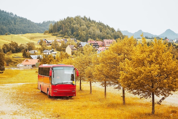 Tirana to Shkodër Bus from €15 - Cheap Tickets, Timetables & Travel Tips