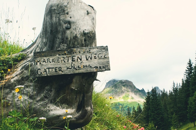 Things to Do in Tombstone AZ: Unveiling the Wild West