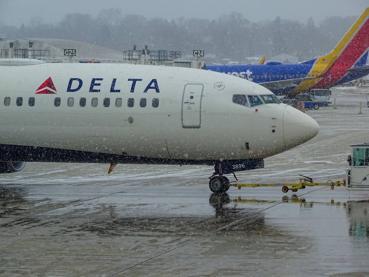 Delta Air Lines лідирує як провідна авіакомпанія в США, що надає послуги з перевезення домашніх тварин
