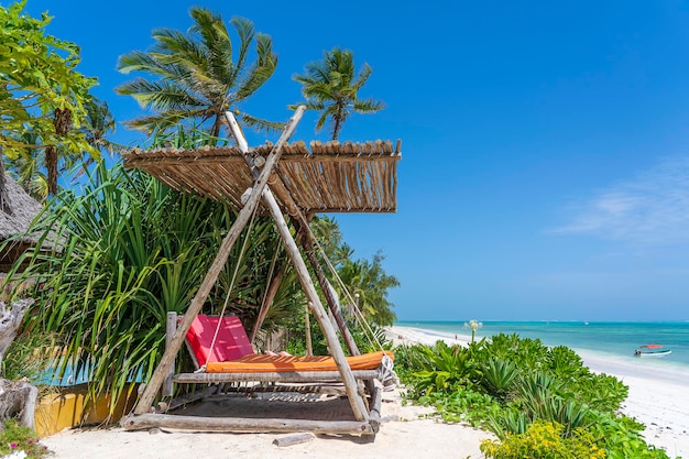 Τα καλύτερα πράγματα που μπορείτε να κάνετε στη Ζανζιβάρη: Εξερευνήστε το νησί