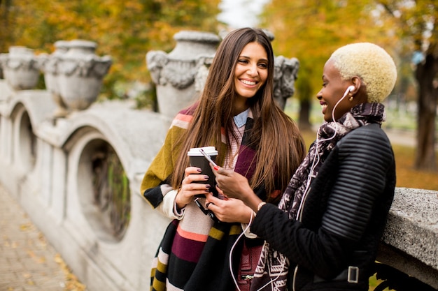 Top Tips for Getting Around Edinburgh - Navigating Public Transport
