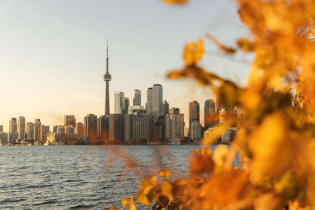 Сайт Best Things to Do in Toronto: A Complete Guide