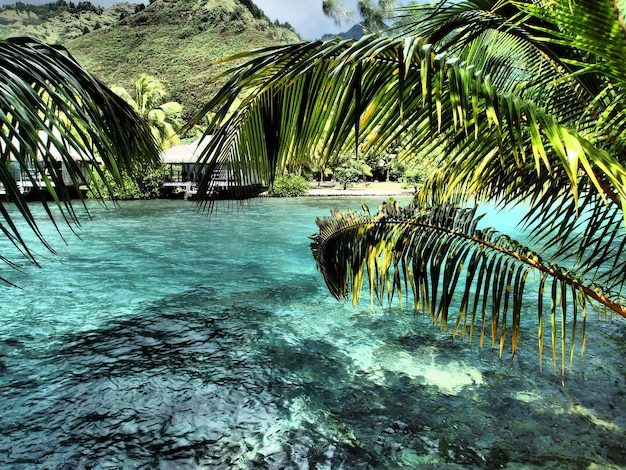 Úžasné tropické miesta na návštevu: Objavte svoj raj