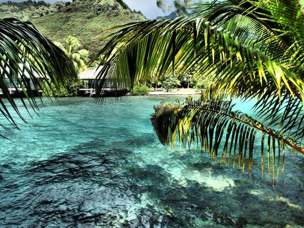 Amazing Tropical Places to Visit: Discover Your Paradise