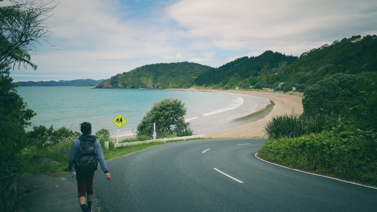 Amazing Things to Do in New Zealand