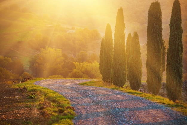 Discover the Magic of a Tuscan Summer Retreat at Villa Ardore