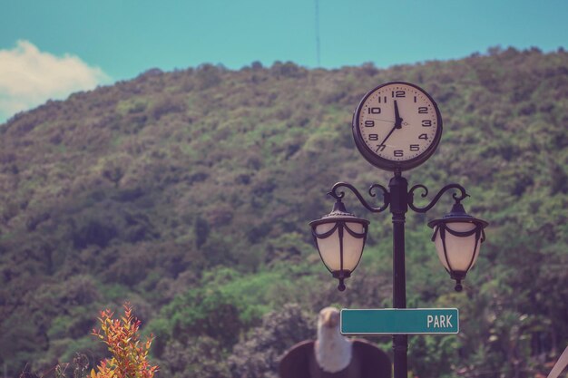 أفضل وقت لزيارة وادي نابا: دليل السفر النهائي الخاص بك