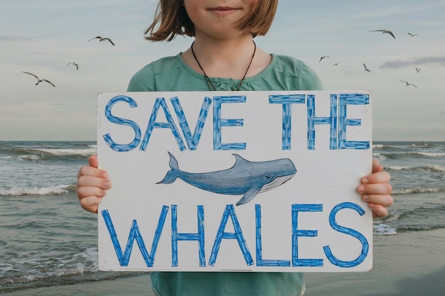 Reopening of Whale Tourism Along Australia's Coral Coast