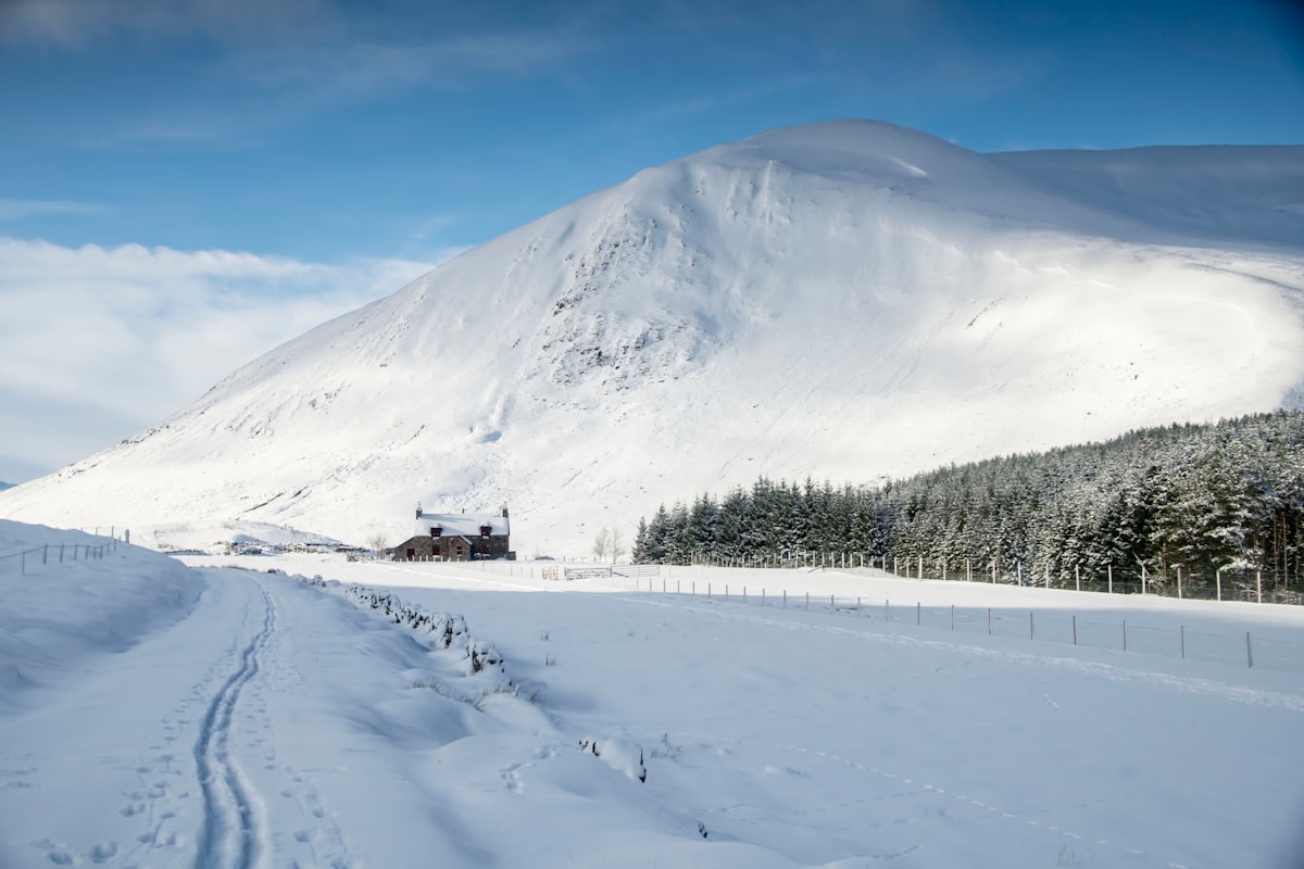 Blizzard grinds Northeast transport to a halt: road bans, power outages and widespread flight cancellations
