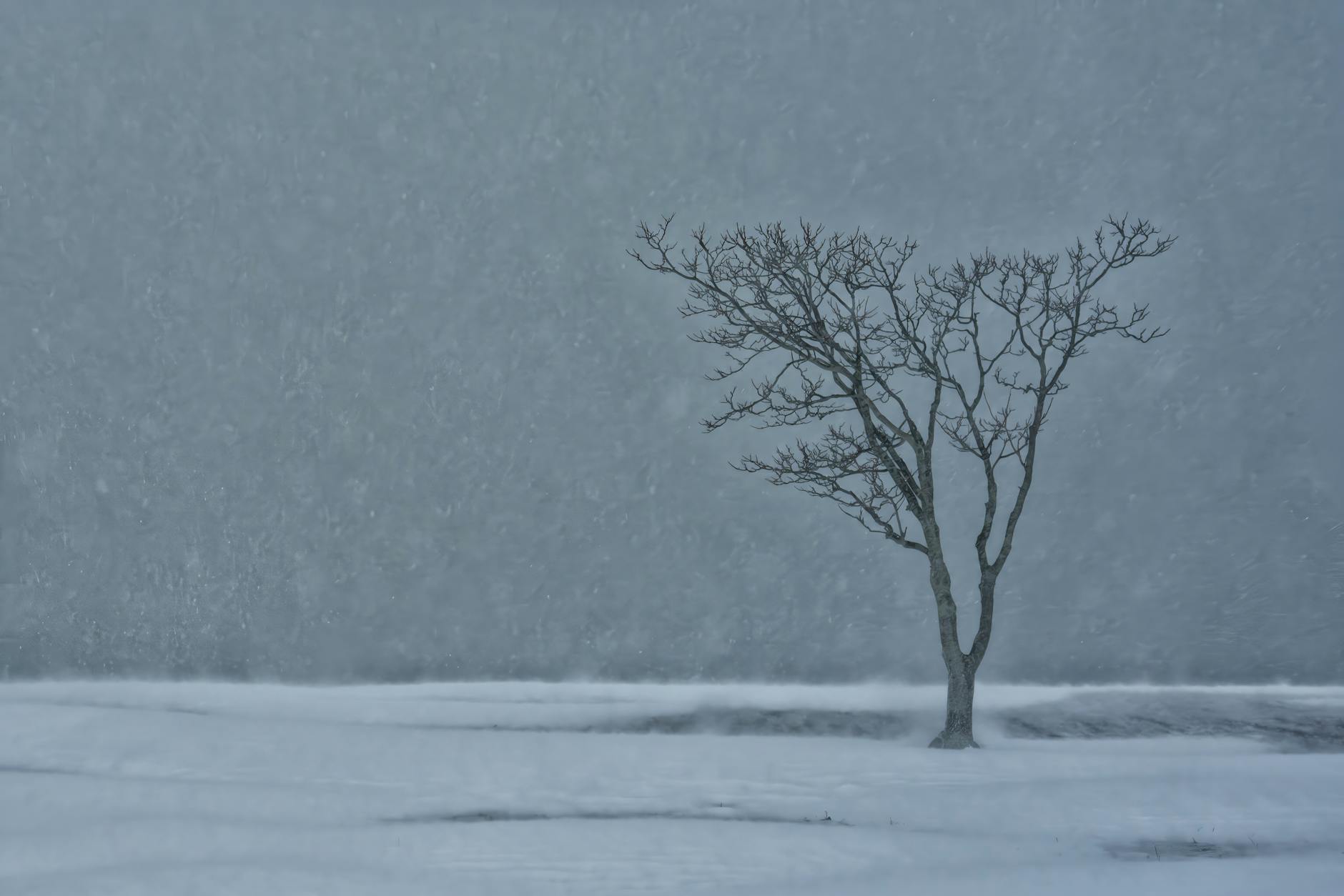 Blizzard grinds Northeast transport to a halt: road bans, power outages and widespread flight cancellations