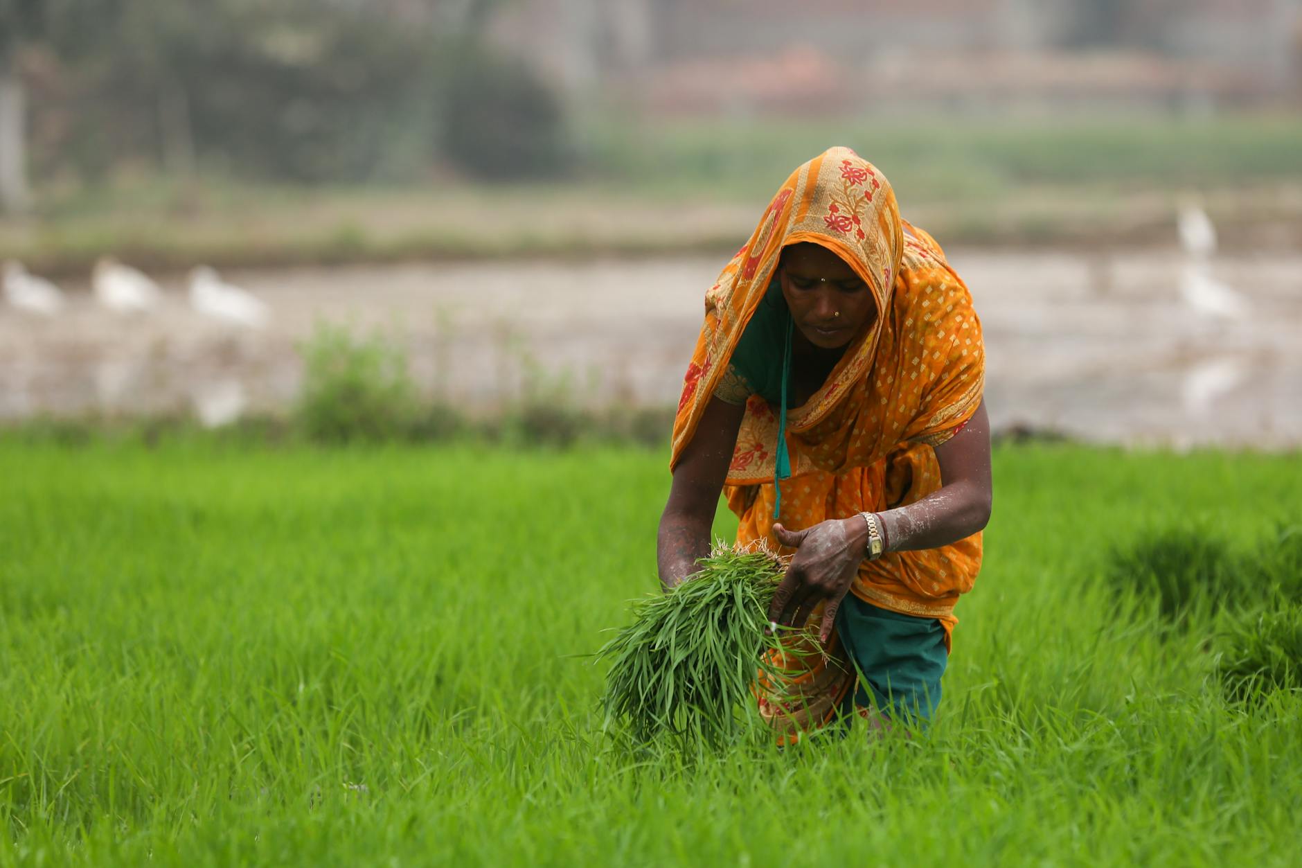 Indiens von Frauen angeführter Solo-Reiseboom: Strände, Südostasien und eine Verlagerung der Transportmuster
