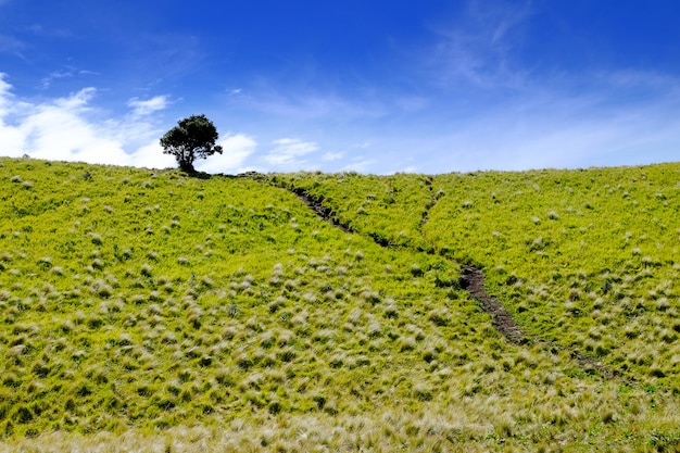Breaking Ground in Green Aviation: AutoFlight's Zero-Carbon eVTOL Water Vertiport and Its Impact on Air Mobility