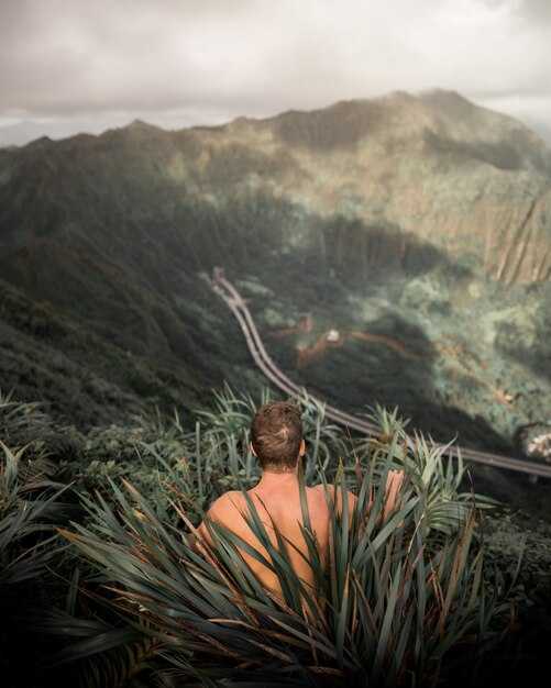 Hacienda Nápoles Day Tour: Dino Park, Safari Rides, and Booking Tips