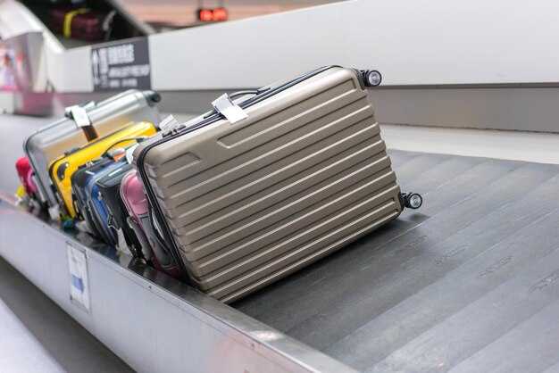 When Bags Don’t Match Policies: Handling Nonstandard Bags and Fees