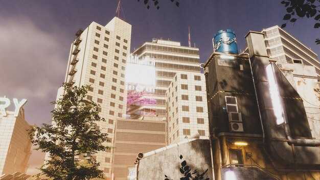 Voor je aankomt: visumopties, documenten en inre