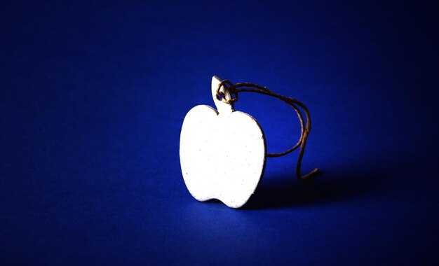 Item Description and Item Specifics: What the Seller Clearly States