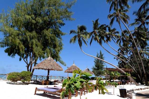 Family-friendly options versus romantic hideaways: how to pick the right setting