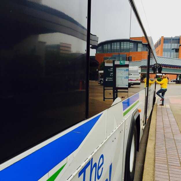 ADA Compliance and Vehicle Accessibility