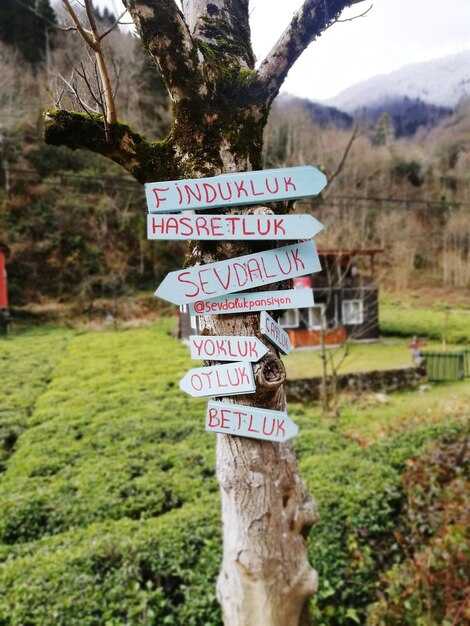 Day 1 Morning: Oviedo Old Town and Cathedral