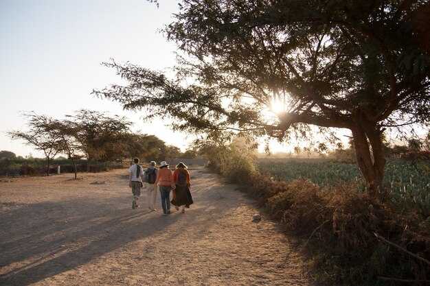 Getting There and Getting Around: Reaching Remote Areas by Car, Train, and Small Airstrips