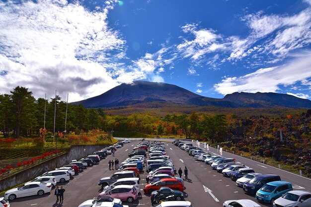 Neighbourhood Watch: Safety, Etiquette, and Local Contacts for Taxi Trips