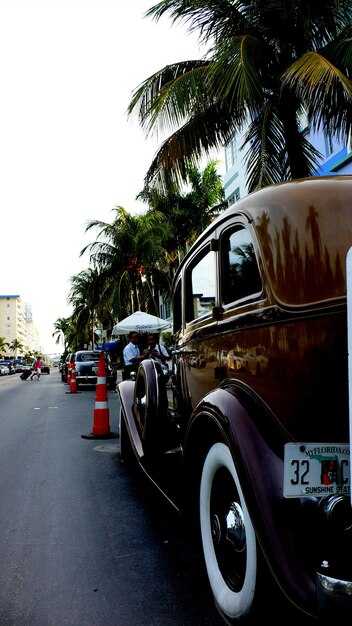 Book Cabo San Lucas Taxi Transfers Today - Fast, Safe & Reliable Rides