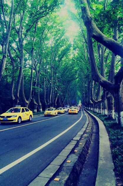 Flight Option: Kozhikode to Kannur Flights and When to Choose Air