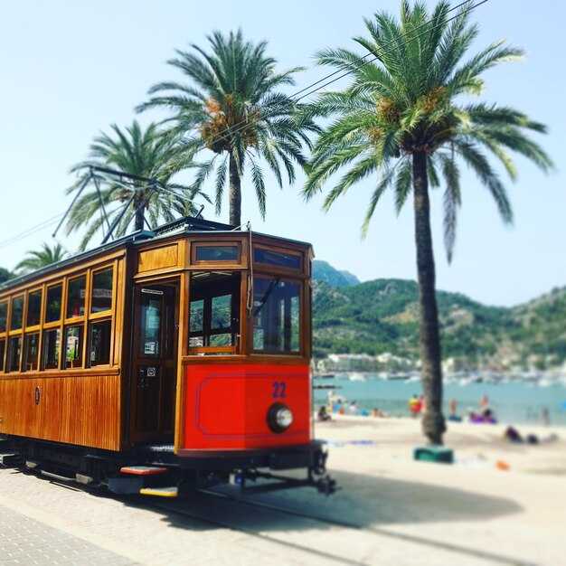 Tickets and price comparison: where to buy and how to save on Wednesdays