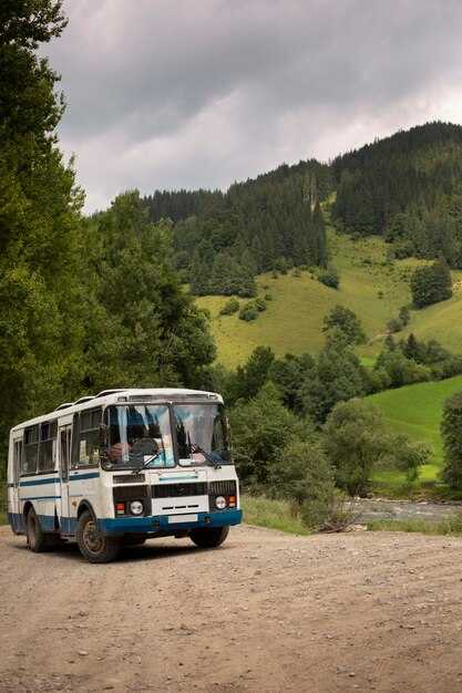 Where to Catch the Bus in Trabzon: Departure Points and Access Tips