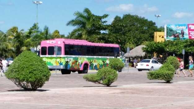 Maximize savings with discounts, promo codes, and passes