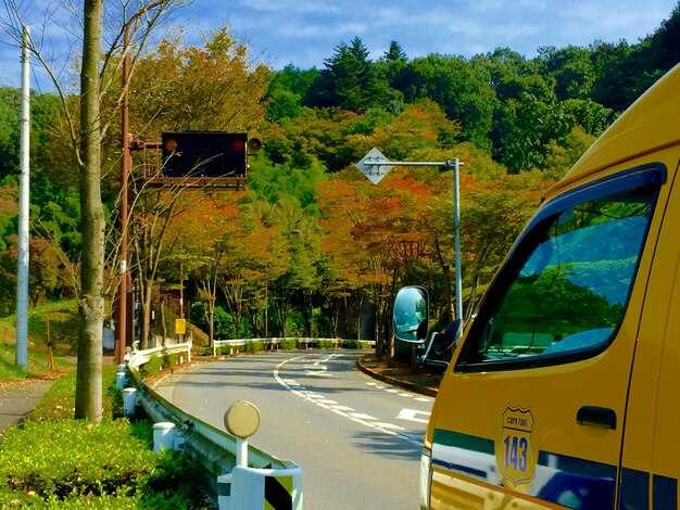 Commuting In and Around Palm Springs - Transit Tips and Local Routes