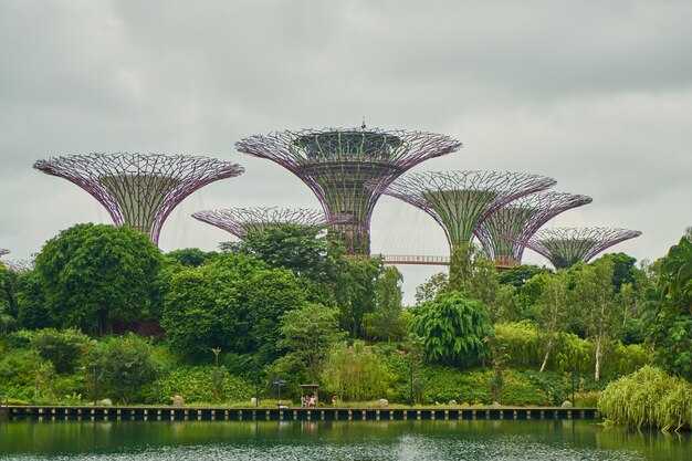 Wildlife watching etiquette: observe birds and monkeys responsibly