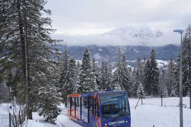 From the bus stop to Courmayeur town center: navigating transfers, schedules, and local transport
