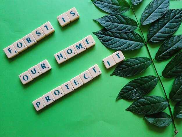 Create a Circular Wardrobe: Repair, Swap, and Donate